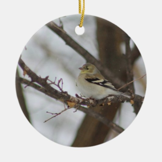 Finch-Ornament Keramisch Ornament (Voorkant)