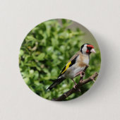 FInch Ronde Button 5,7 Cm (Voorkant)