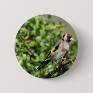 FInch Ronde Button 5,7 Cm