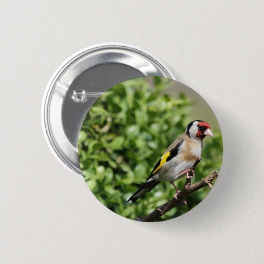 FInch Ronde Button 5,7 Cm (Voorkant /achterkant)