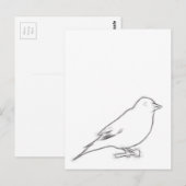 Finch Sketch Briefkaart (Voorkant / Achterkant)