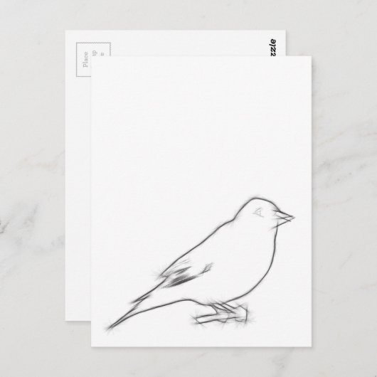 Finch Sketch Briefkaart (Voorkant / Achterkant)