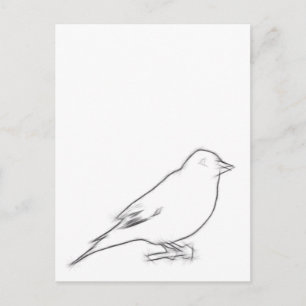 Finch Sketch Briefkaart