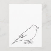 Finch Sketch Briefkaart (Voorkant)