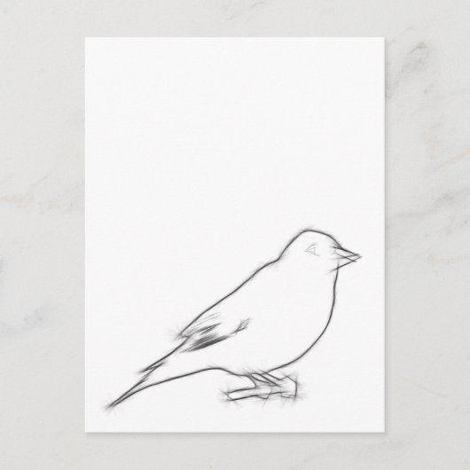 Finch Sketch Briefkaart (Voorkant)