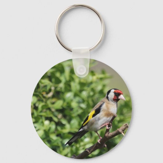 FInch Sleutelhanger (Voorkant)