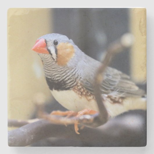 Finch Stenen Onderzetter (Voorkant)