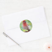 Finch Stickers (Envelop)