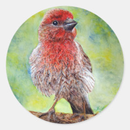 Finch Stickers
