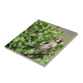 FInch Tegeltje (Zijkant)