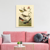 Finch, Towee, Sparrow, Audubon's Birds of America Canvas Afdruk (Insitu (Woonkamer))