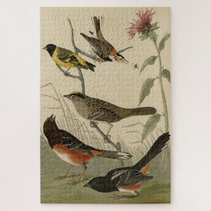 Finch, Towee, Sparrow, Audubon's Birds of America Legpuzzel