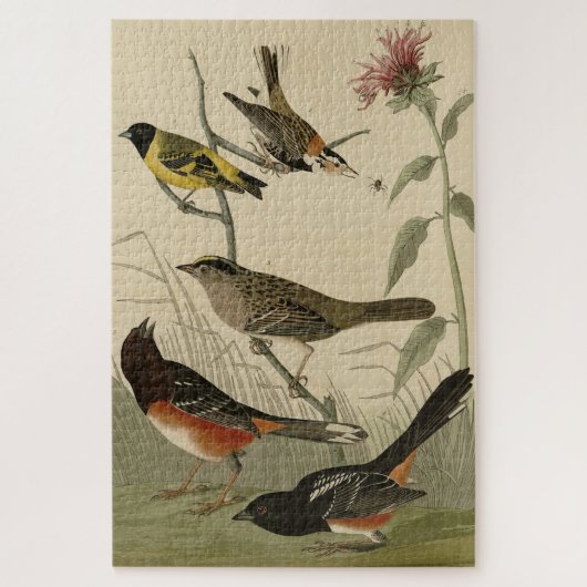 Finch, Towee, Sparrow, Audubon's Birds of America Legpuzzel (Verticaal)