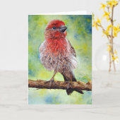 Finch, Wenskaart Kaart (Gele Bloem)