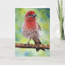 Finch, Wenskaart Kaart
