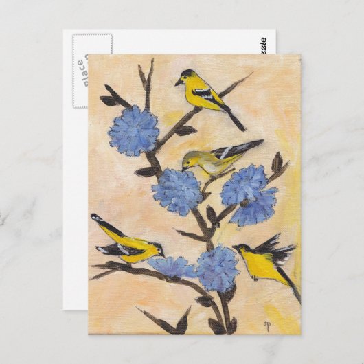 Finches op cichorei briefkaart (Voorkant / Achterkant)