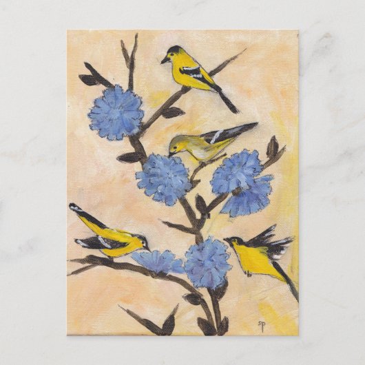 Finches op cichorei briefkaart (Voorkant)