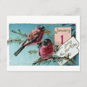 Finches op Pine Tree  Nieuwjaar Feestdagenkaart
