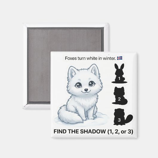 Find the Shadow – Arctic Fox Learning Magnet (Voorkant / Achterkant)