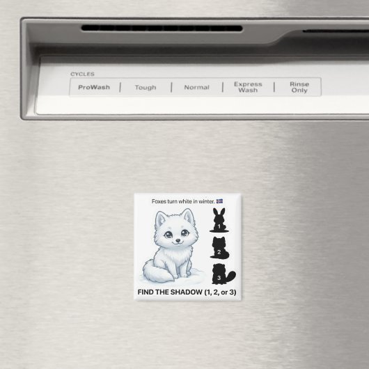 Find the Shadow – Arctic Fox Learning Magnet (Insitu (Vaatwasser))