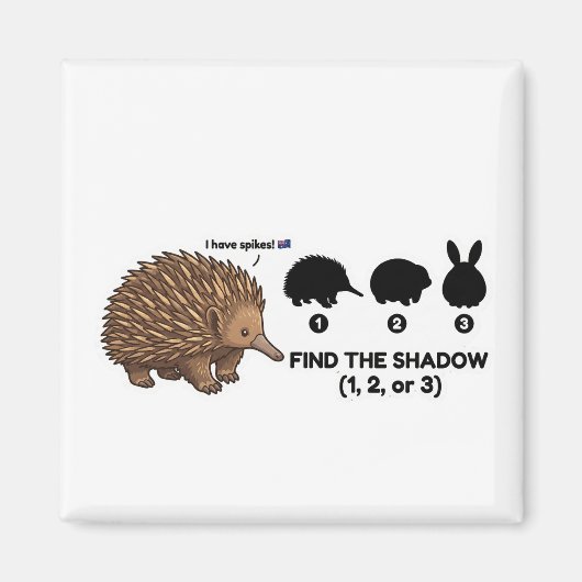 Find The Shadow: Cute Echidna Australia Animal Gam Magneet (Voorkant)