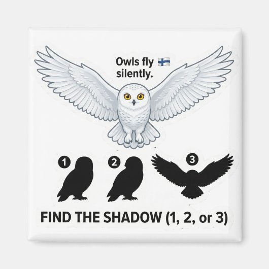 Find the Shadow – Snowy Owl Learning Magnet (Voorkant)