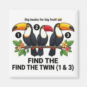 Find The Twin: Toekan Colombia Educatief Matchin Magneet