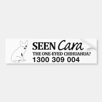 FindCara BumperSticker