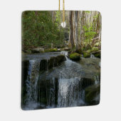 Findlay Falls I Keramisch Ornament (Rechts)