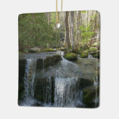 Findlay Falls I Keramisch Ornament (Links)