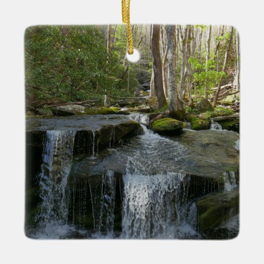 Findlay Falls I Keramisch Ornament (Voorkant)