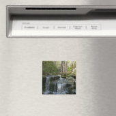 Findlay Falls I Magneet (Insitu (Vaatwasser))