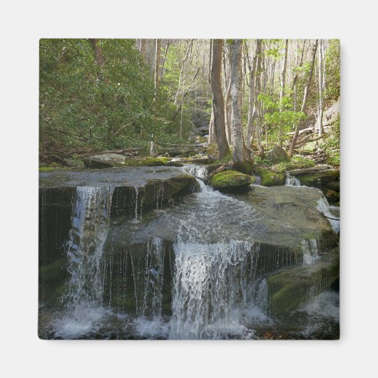 Findlay Falls I Magneet (Voorkant)
