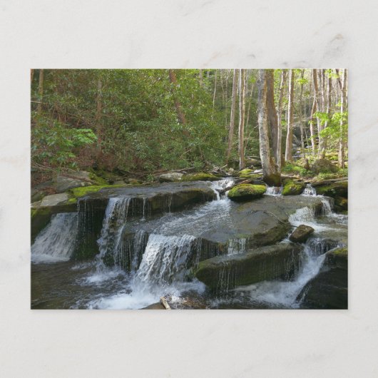 Findlay Falls II Briefkaart (Voorkant)