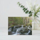 Findlay Falls II Briefkaart (Staand voorkant)