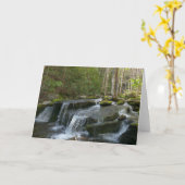 Findlay Falls II Kaart (Gele Bloem)