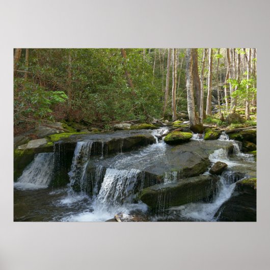 Findlay Falls II Poster (Voorkant)
