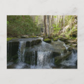 Findlay Herfsten I Briefkaart (Voorkant)