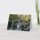 Findlay Herfsten I Kaart (Voorkant)