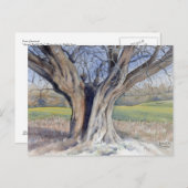 Fine Art Briefkaart - Ancient English Tree (Voorkant / Achterkant)