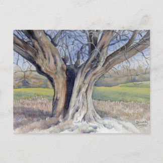 Fine Art Briefkaart - Ancient English Tree
