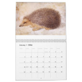 FINE ART COLLECTIE / Dierlijke tekeningen 2015 Kalender (Jan 2026)