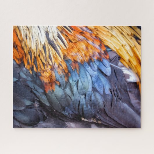 Fine Art Feather Legpuzzel (Horizontaal)