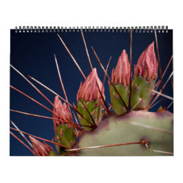 Fine Art-fotografie van Cacti en Succulenten Kalender