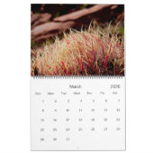 Fine Art-fotografie van Cacti en Succulenten Kalender (Mar 2026)