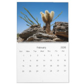 Fine Art-fotografie van Cacti en Succulenten Kalender (Feb 2026)