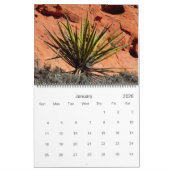 Fine Art-fotografie van Cacti en Succulenten Kalender (Jan 2026)