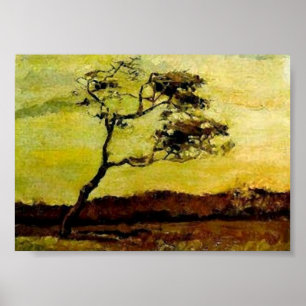Fine Art. het wind-geslagen van de Boom (F10) Van Poster