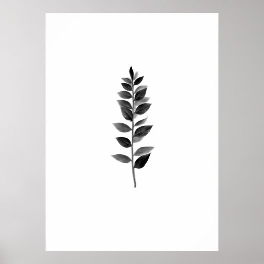 Fine Art Natuur Poster (Voorkant)