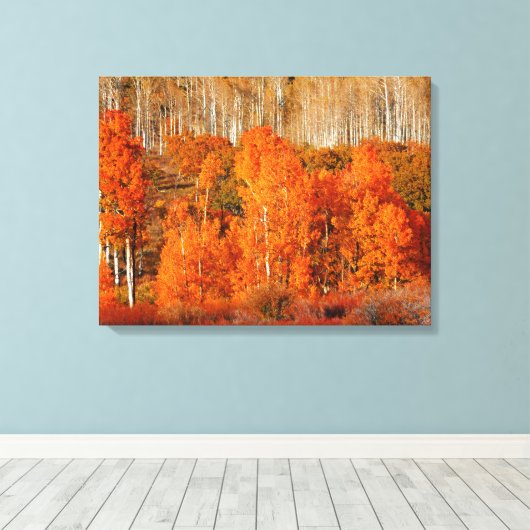 Fine Art Oranje Aspen Autumn Herfst Canvas Art Afd (Insitu (Houten vloer))